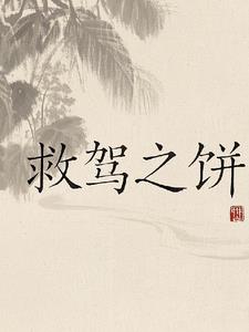 救驾之饼救驾之饼